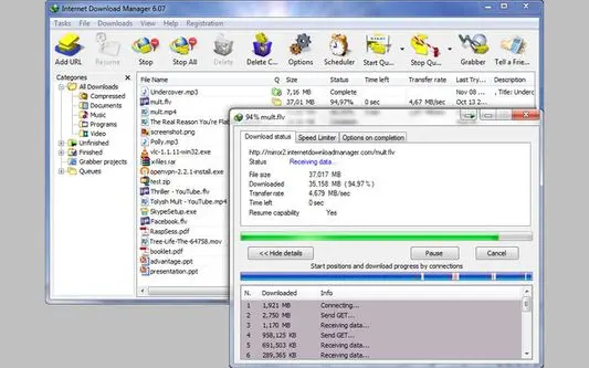 Portable Internet Download Manager (IDM) Free Download