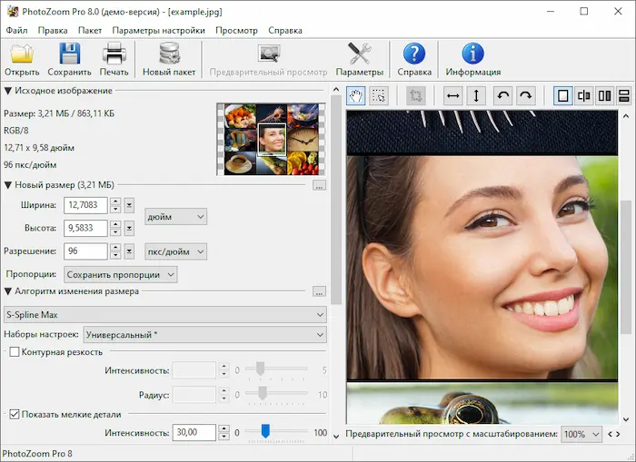 Benvista PhotoZoom Pro 9.0.2 Free Download for windows