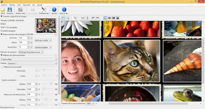 Benvista PhotoZoom Pro 9.0.2 Free Download