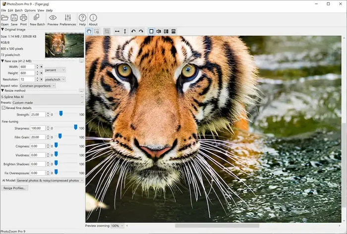Benvista PhotoZoom Pro 9.0.2 Free Download for pc