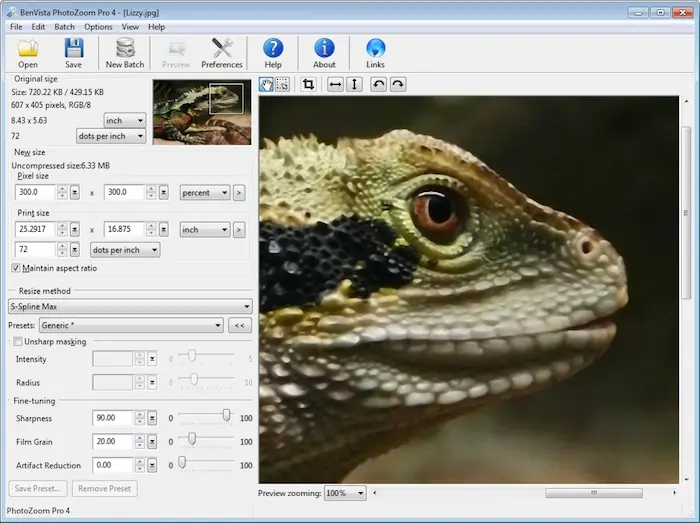 Benvista PhotoZoom Pro 9.0.2 Free Download latest version